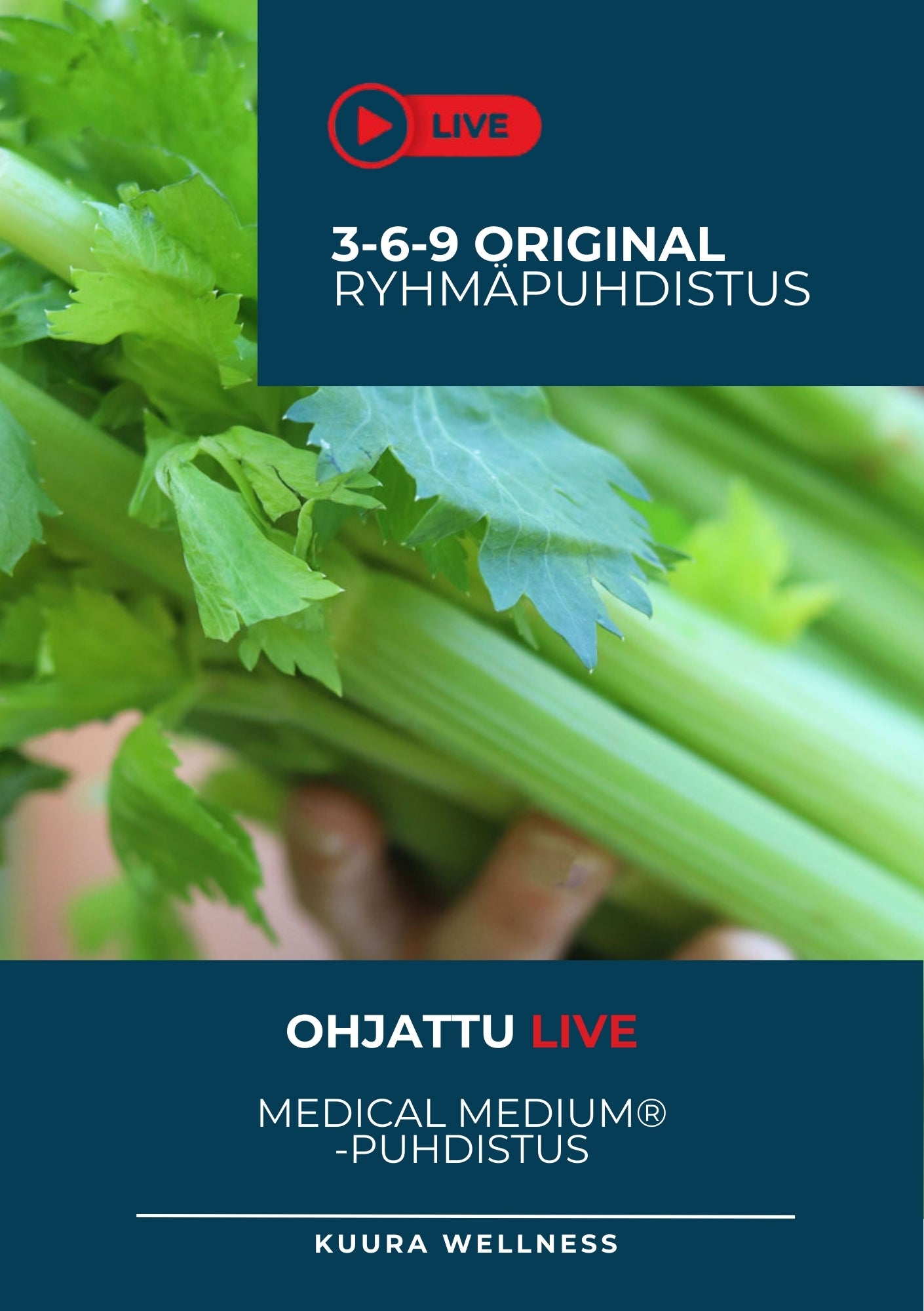 3-6-9 Original LIVE Ryhmäpuhdistus