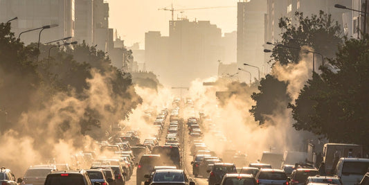 Elinympäristön vaikutus terveyteen ja kroonisiin sairauksiin!