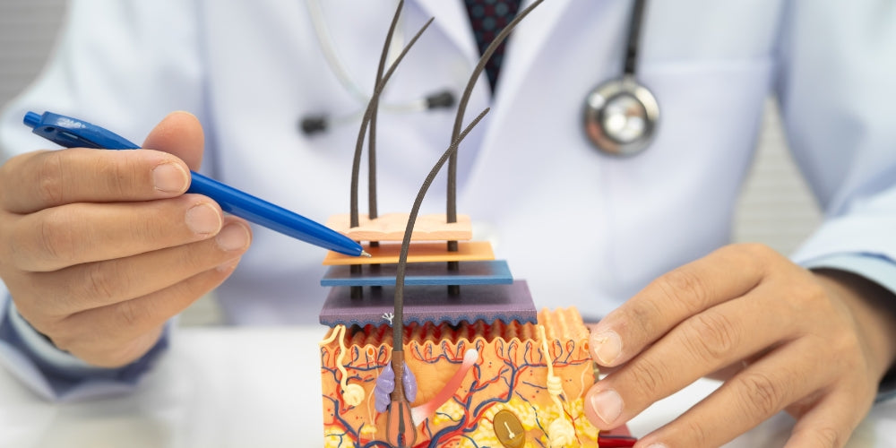 Silika - Tämä mineraali on kehosi arkkitehti!