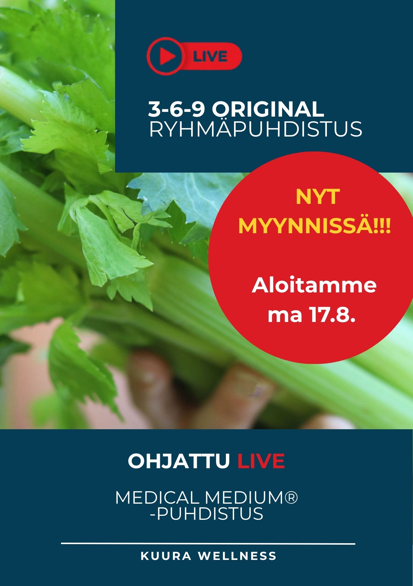 3-6-9 Original LIVE Ryhmäpuhdistus